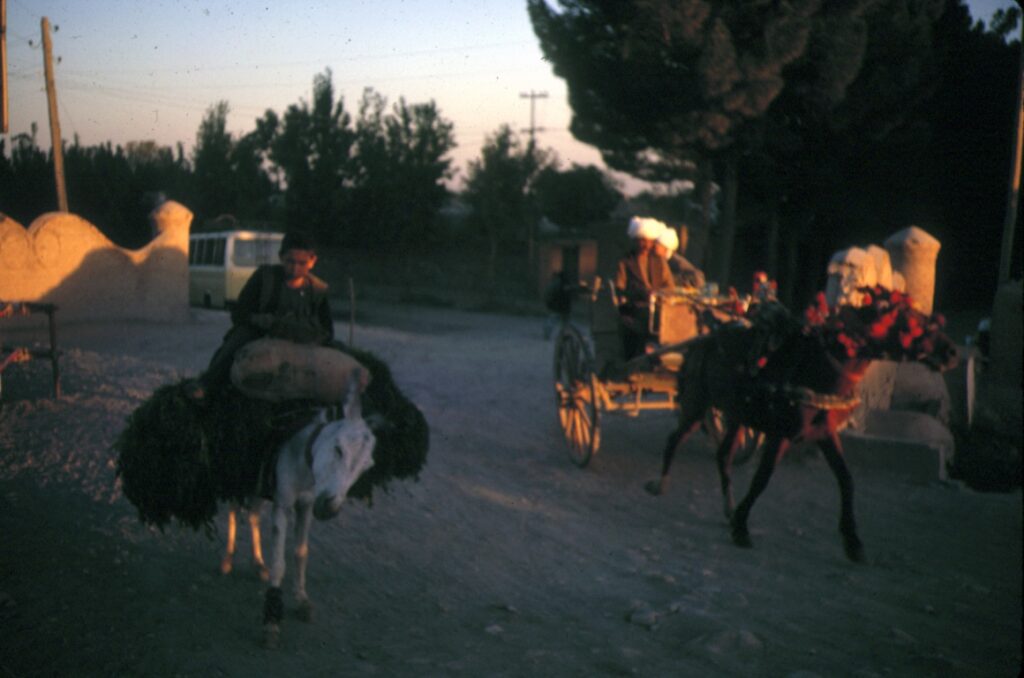 127 Evening rush hour Herat