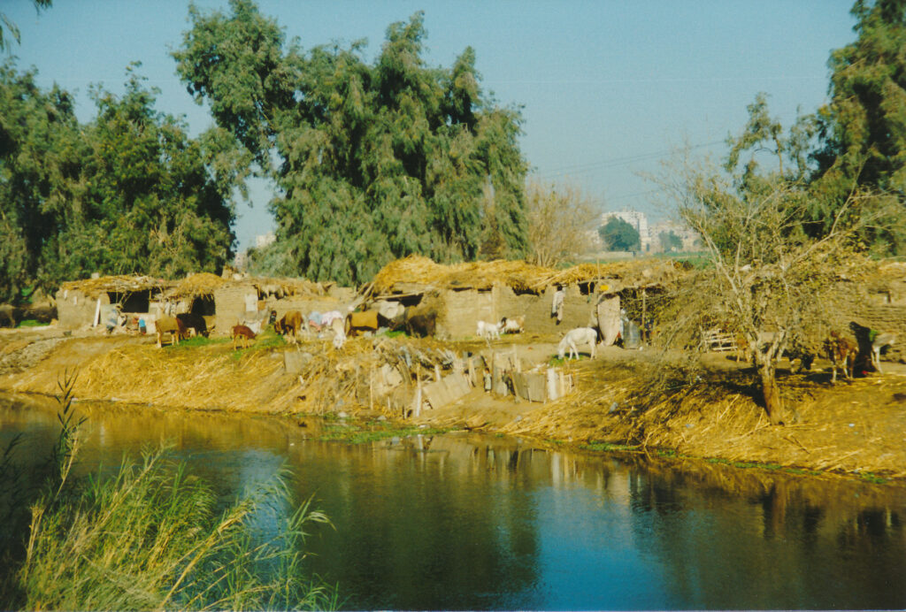 Village By Irrigation Canal