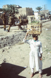 Village Lady With Crate Of Birds And Feed Balanced On Her Head