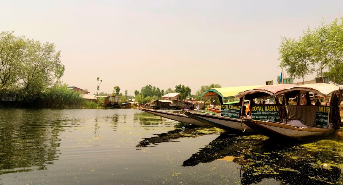 248c Srinagar Lake Dal houseboat hotels