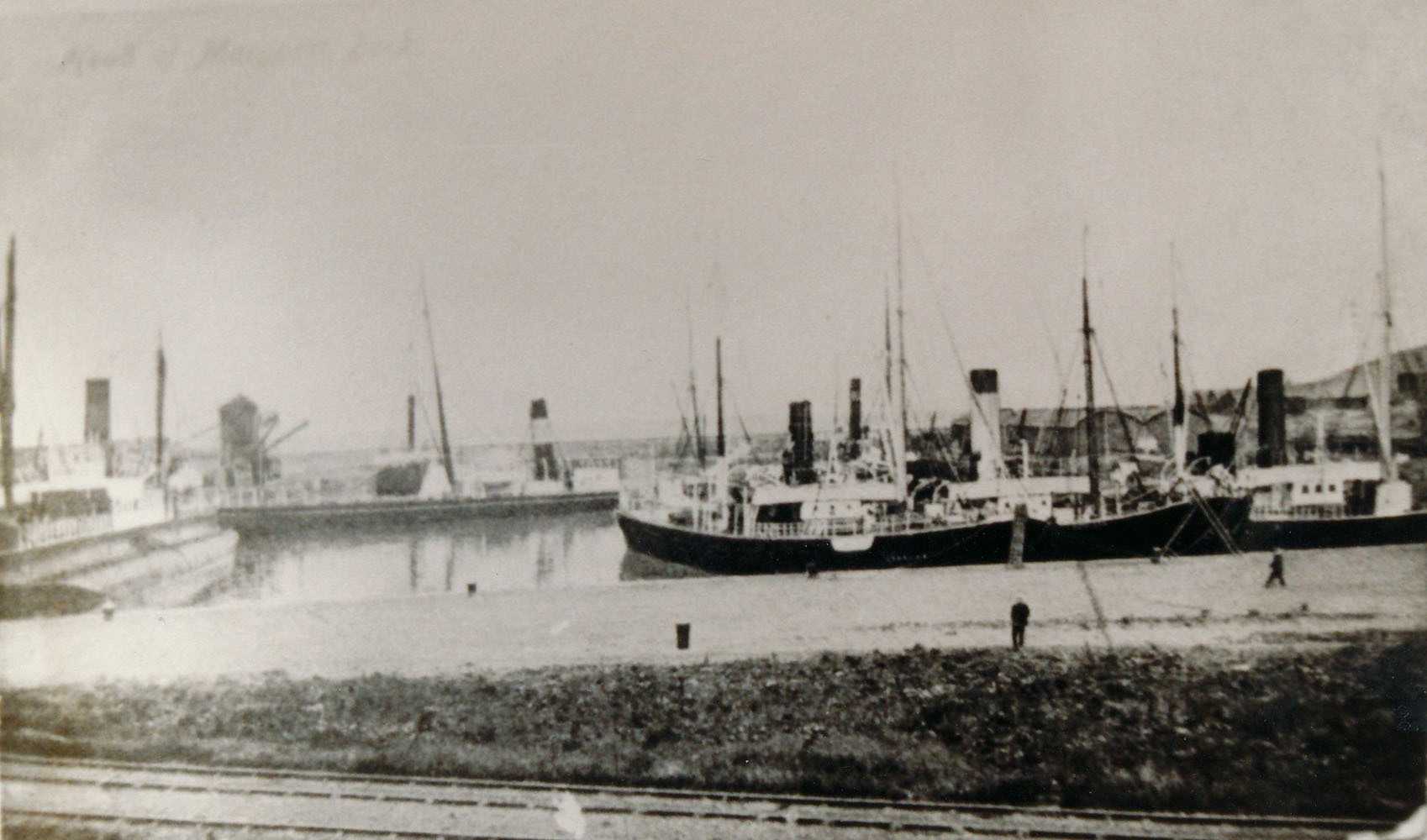 Elizabeth Dock three steamers berthed jpg
